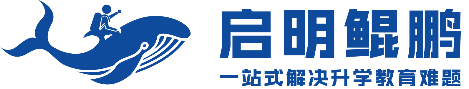 启明鲲鹏